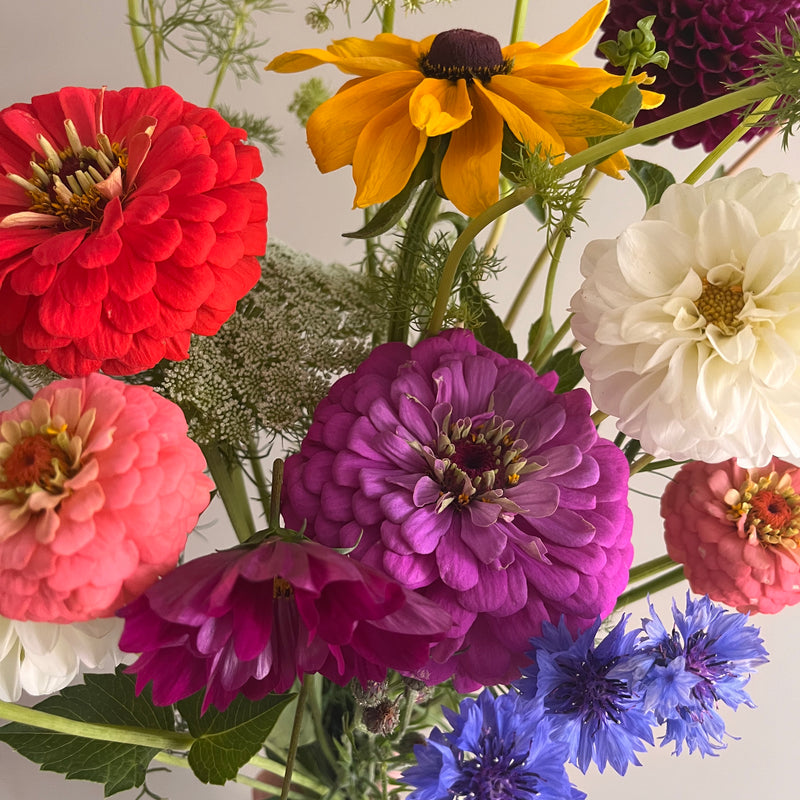 Hand tied bouquets